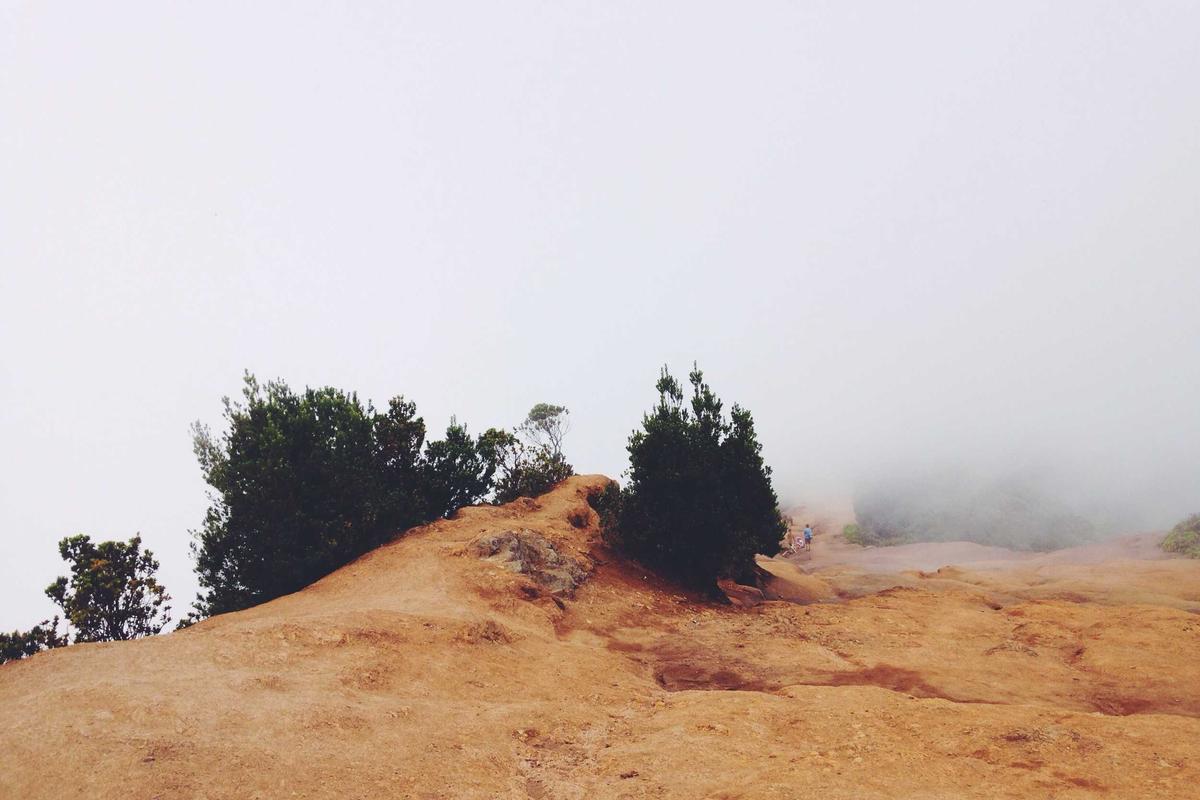 자동차 부품 수출용 고강도 특수 팔레트지 개발